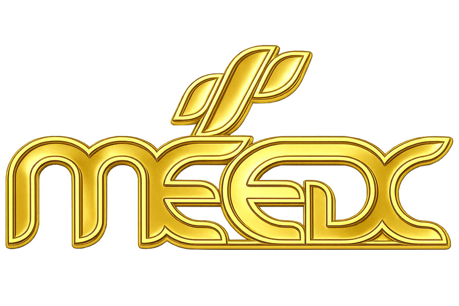MEEDC International Business Award